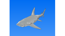 サメ 3d Animal