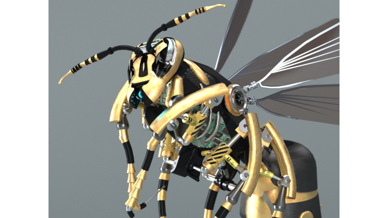 ハチ 3d Models Of Insects