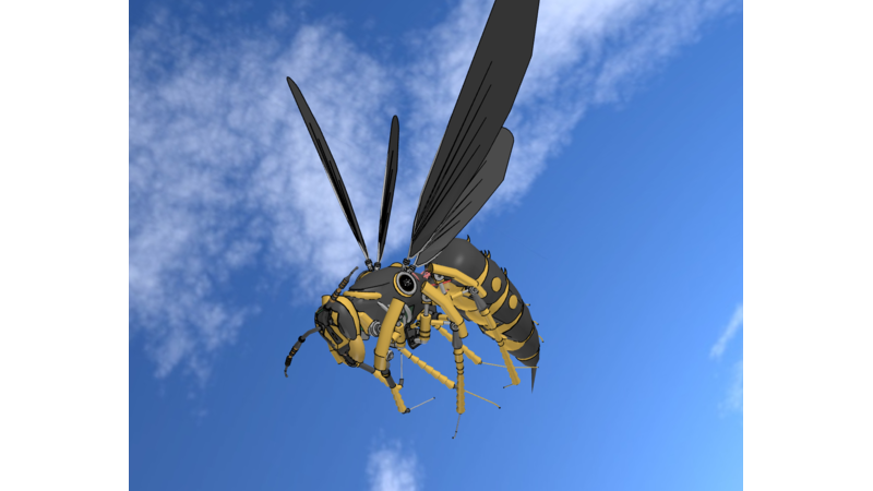 ハチ 3d Models Of Insects